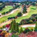 autumn, golf, golf course