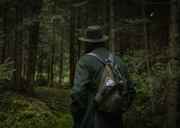 forest, nature, hunter