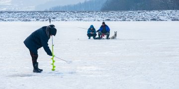 ice fishing, animal, snow