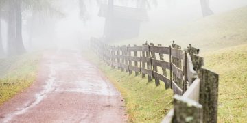 road, pathway, trail