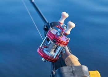 fishing reel, fishing, sea
