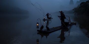 cormorant, fishermen, nature