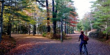 The Best Camping Destinations for Families